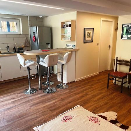 Appart Prive Dans Villa Meinau Residentiel Strasbourg Eksteriør billede