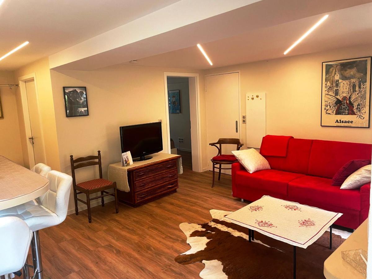Appart Prive Dans Villa Meinau Residentiel Strasbourg Eksteriør billede