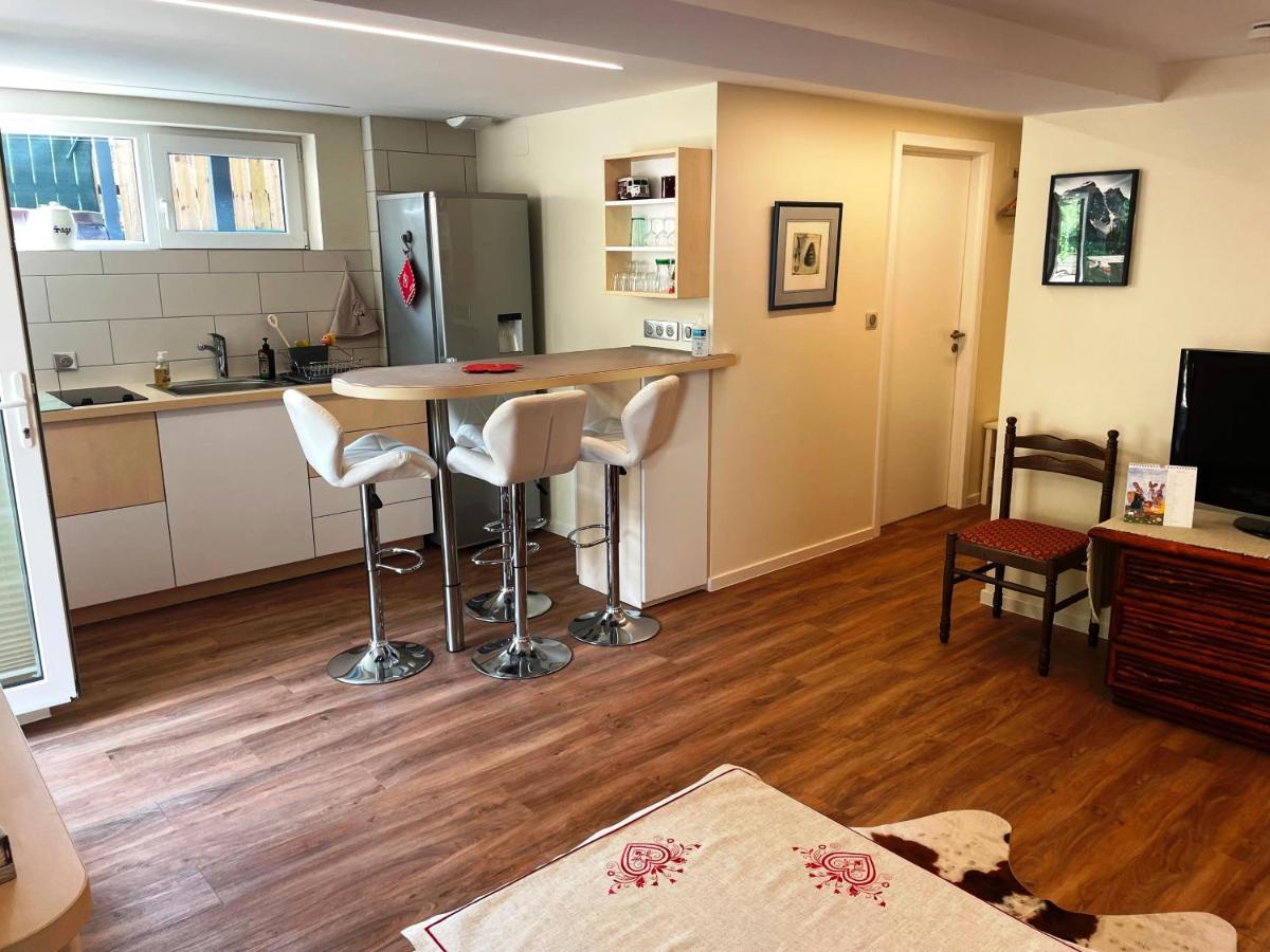Appart Prive Dans Villa Meinau Residentiel Strasbourg Eksteriør billede