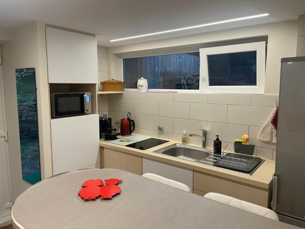 Appart Prive Dans Villa Meinau Residentiel Strasbourg Eksteriør billede