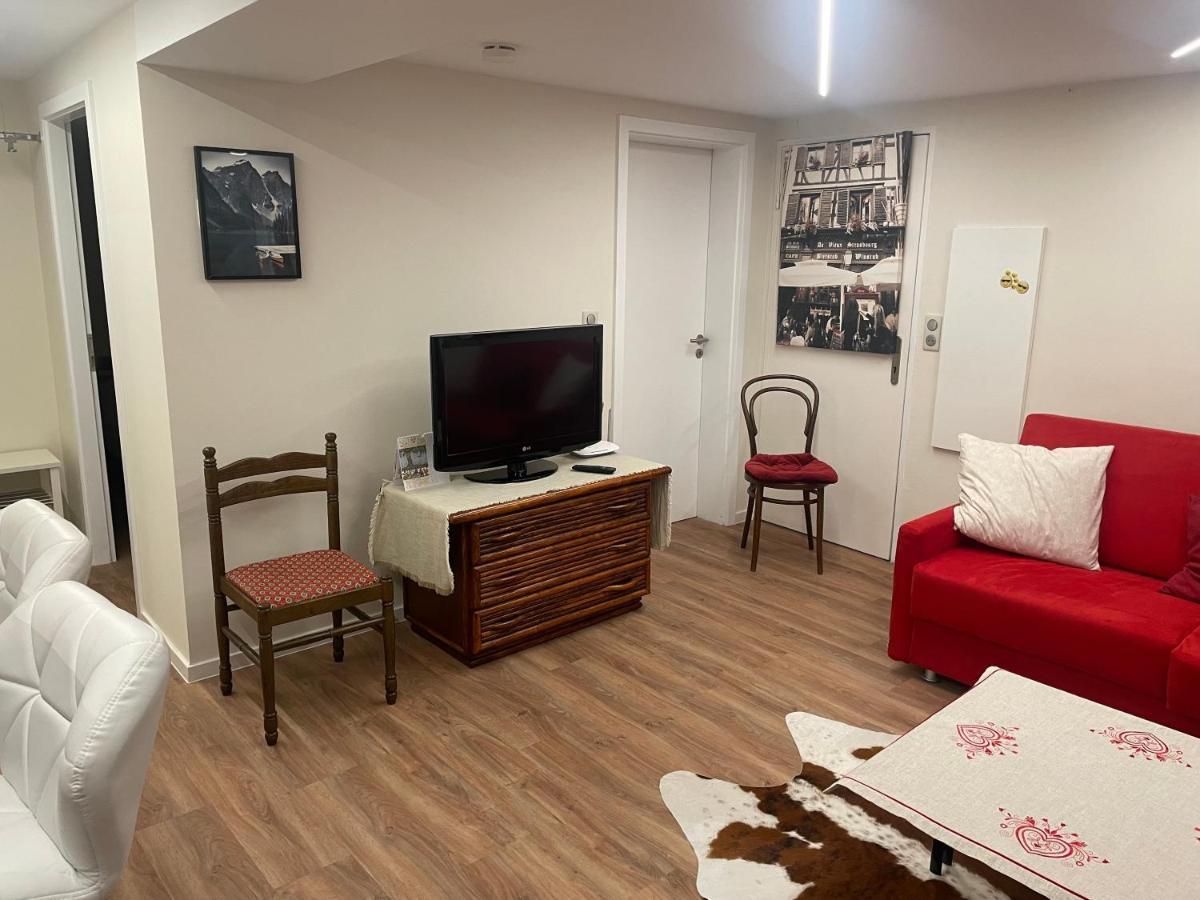 Appart Prive Dans Villa Meinau Residentiel Strasbourg Eksteriør billede